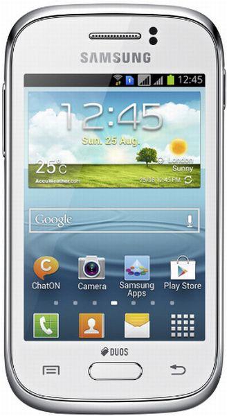  Galaxy Young Duos  GT-S6312